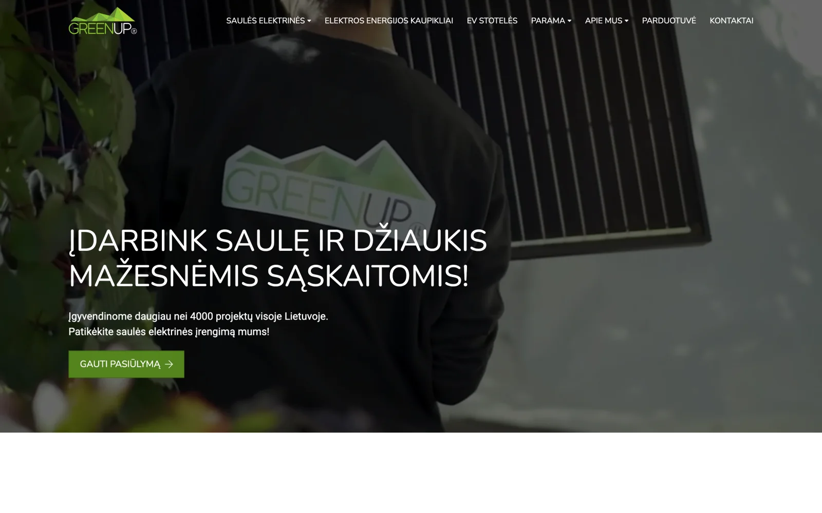 Titulinis ekranas su pagrindine žinute ir užklausos forma iš karto pirmame lange.